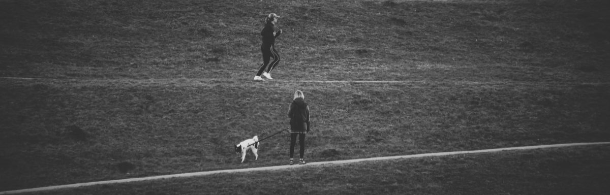 tomasz steindel, tomasz steindel photo, fotografia, fotograf