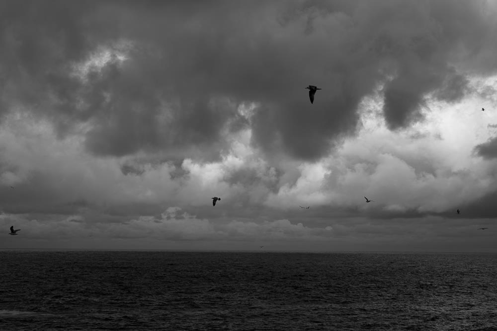 urzdfotografii, urząd forografii, fotografia, zdjęcia, fotograf