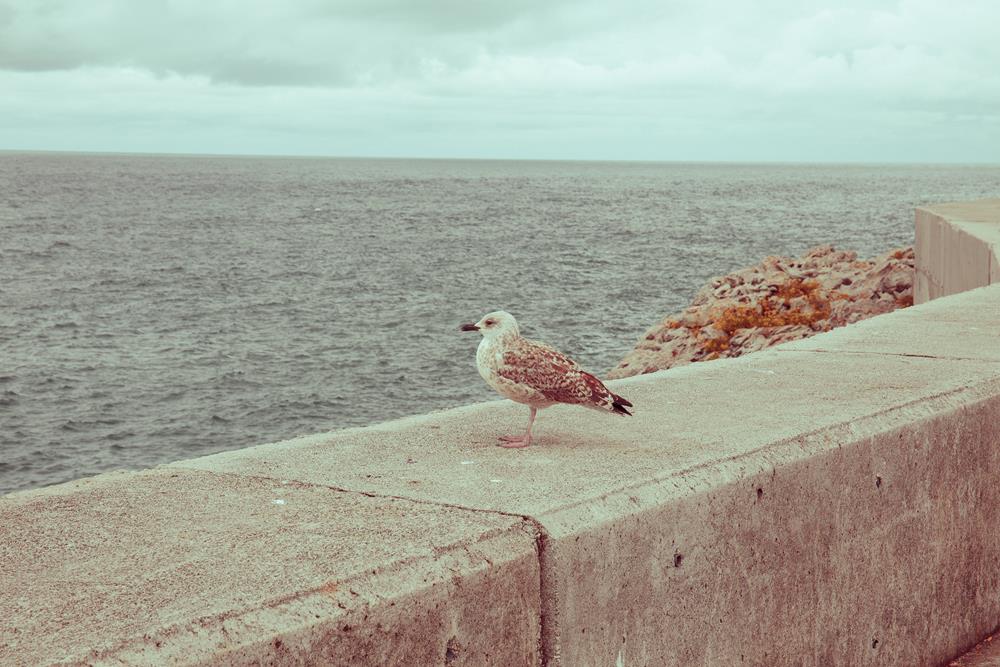 urzdfotografii, urząd forografii, fotografia, zdjęcia, fotograf